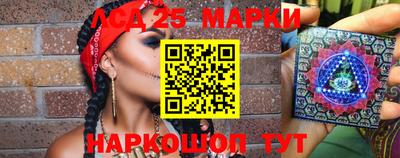 мдпв Камышлов