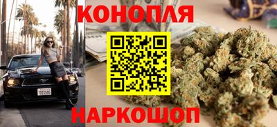 мдпв Камышлов