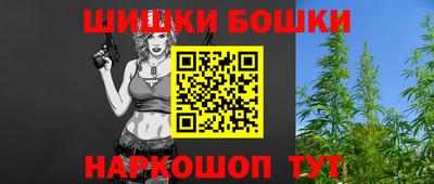 мдпв Камышлов