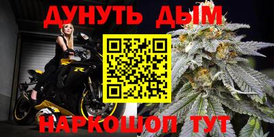 мдпв Камышлов