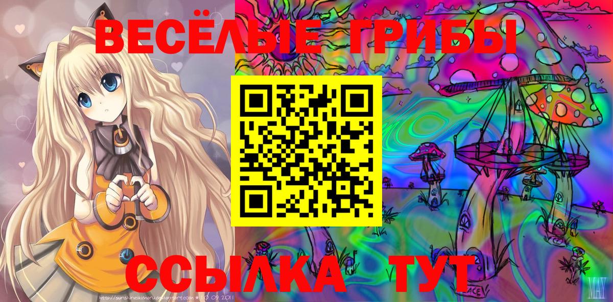 Псилоцибиновые грибы GOLDEN TEACHER Лабинск
