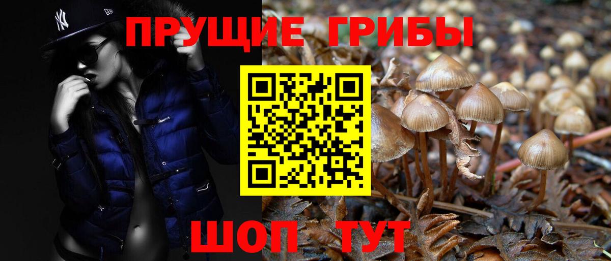 Галлюциногенные грибы GOLDEN TEACHER  Псилоцибиновые грибы Cubensis  Лабинск  закладка  Вход с VPN 